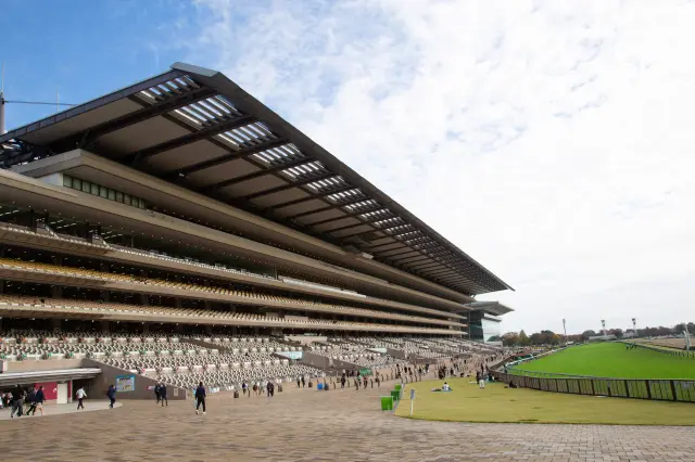 The magnificent Fuji View Stand