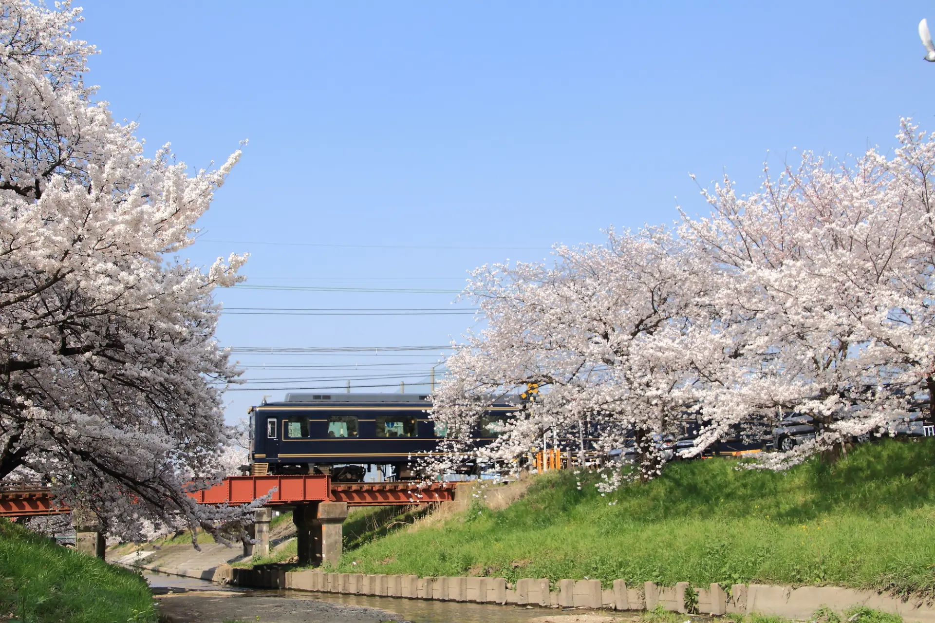 Find the Cheapest and Fastest Way to Travel: Kyoto to Nara Access Guide ...