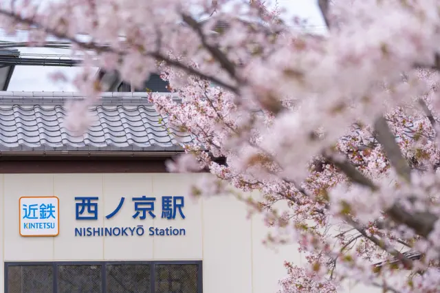歴史的な寺院へのアクセスが良い西ノ京駅