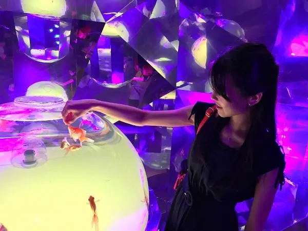 以實際存在的城堡為造型的建物中，展示約400種、20,000隻生物的大型水族館