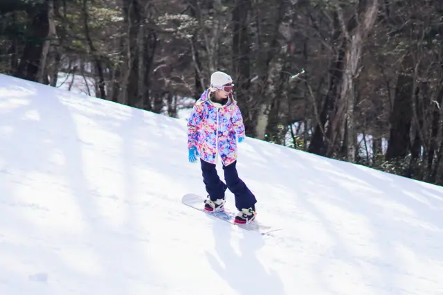 在大自然中馳騁