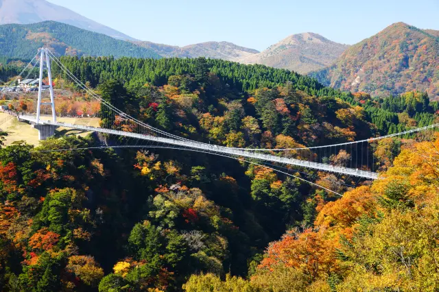 【九重"夢"大吊橋の観光ガイド】日本一高い歩行者専用吊橋で絶景を満喫！