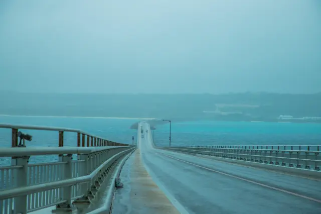 When a typhoon is approaching or has landed, avoid unnecessary driving or going outside.