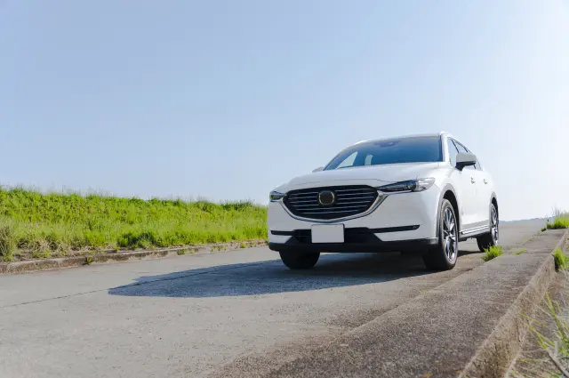 There are many travel plans that can only be made possible by using a rental car.