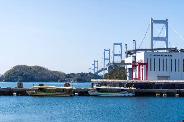 體驗行程的出發地點在下田水港前的來島海峽大橋