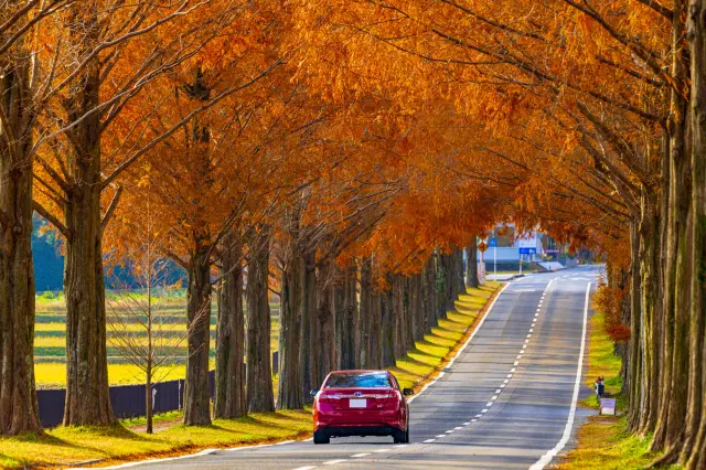 Enjoy journeys only possible by car and the scenery you'll encounter