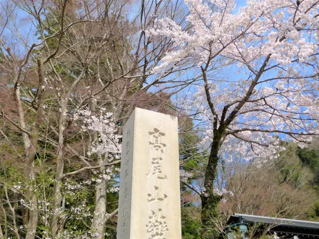 Take a commemorative photo in front of the Takao-san Yakuo-in stone pillar!