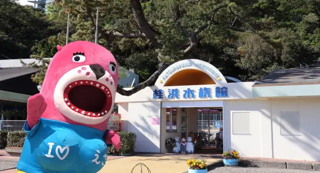 名勝「桂浜」に建つローカルでアットホームな水族館