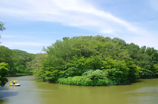 利用丘陵自然地形打造的廣大的遊樂空間，是全家人可以玩上一整天的景點