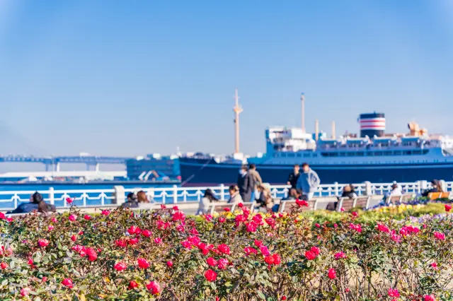 【橫濱親子推薦景點19選】大人小朋友都盡興！最適合帶小孩造訪的橫濱景點都在這了～