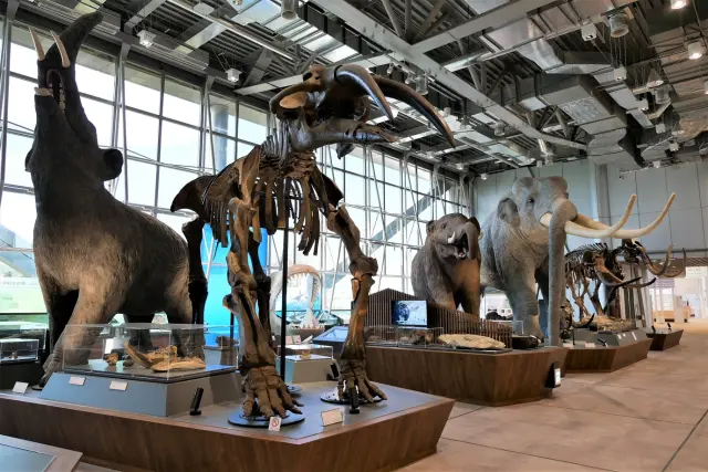 透過參加、體驗型的展示，加深對科學的知識與興趣的學習設施