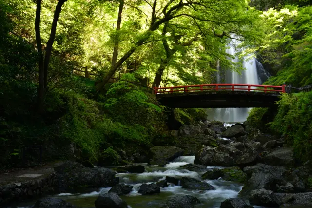 可欣賞四季多樣風景，以箕面瀑布為亮點的國定公園