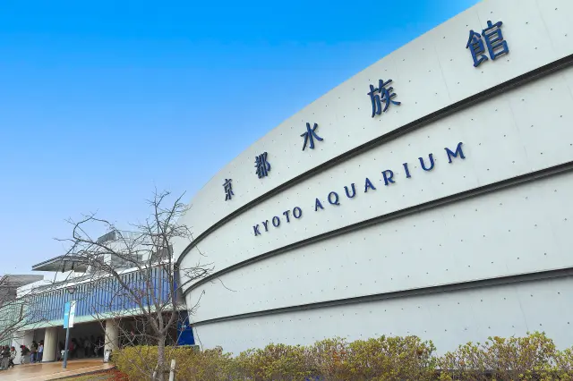 融入梅小路公園自然景觀的美麗身影，令人印象深刻