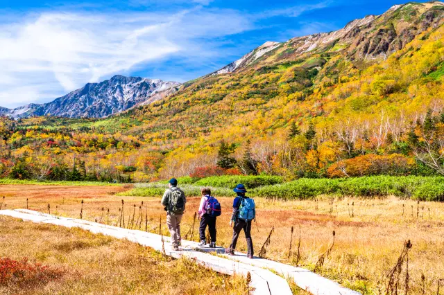 在日本屈指可數的高層濕原，邂逅四季各異其趣的自然景觀