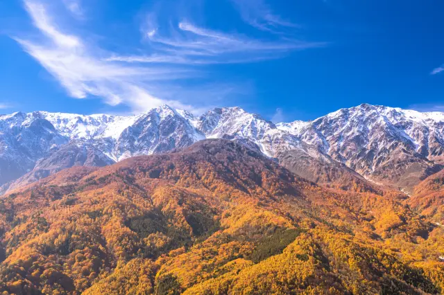 秋天有機會看到山頂白雪、山中紅葉與山麓綠意同框的「白馬三段紅葉」美景
