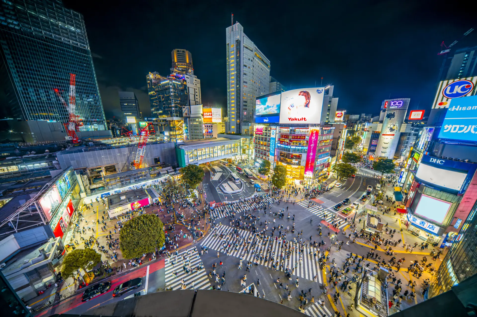 【東京夜生活完整指南】東京夜間必去景點一篇搞定!晚上8點開始的東京夜遊就是要去這裡~ | GOOD LUCK TRIP