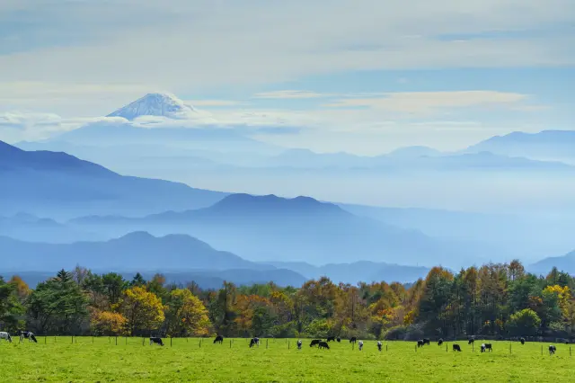 【超嚴選】中部地區必去景點25選！探訪山岳美景與日本歷史之旅
