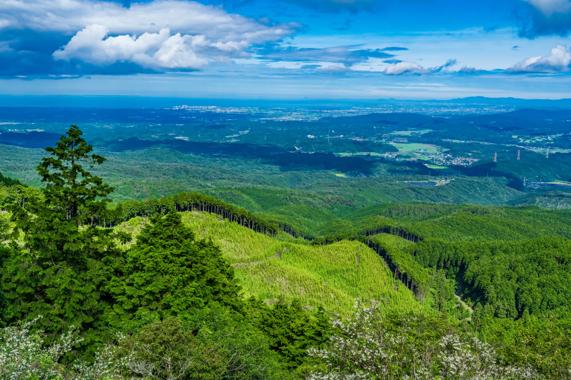 7 Popular Tourist Spots in Tsu City, a Nature-Rich Area Filled