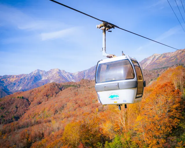 秋には紅葉に染まる山々を空中から一望できる