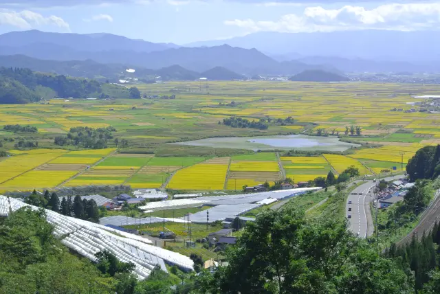 傳承自山形縣置賜地區的傳統保存食——五斗納豆