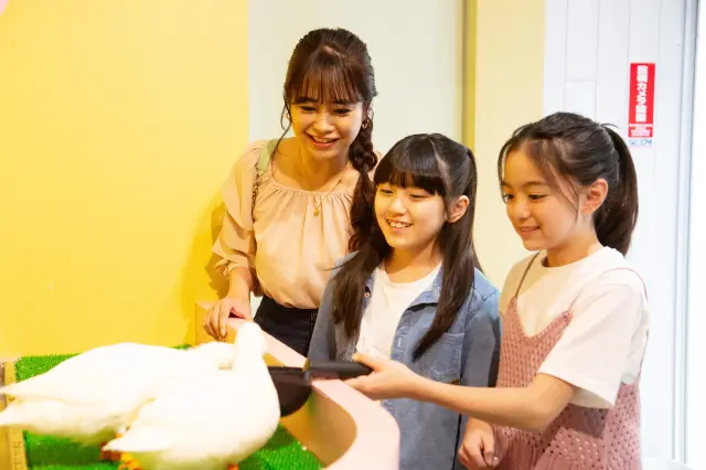 餌やりでは食欲旺盛な様子を楽しめる