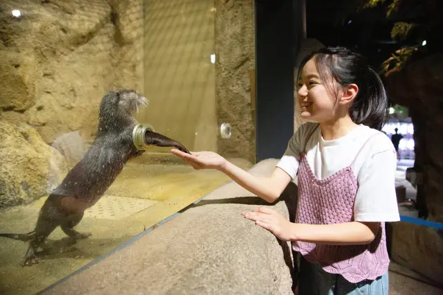 DMM Kariyushi水族館