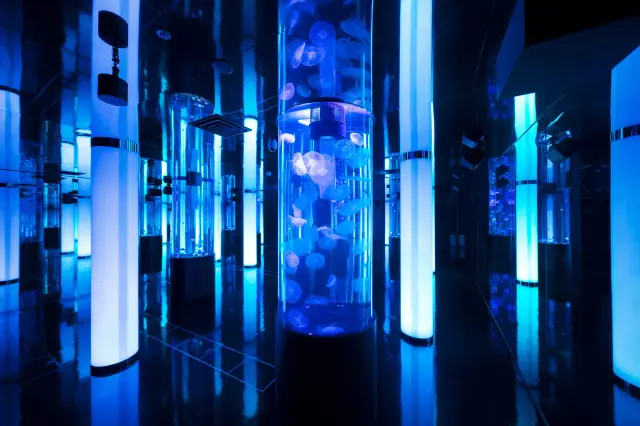 時間帯によっても変わる演出を楽しめる「クラゲよんなー」