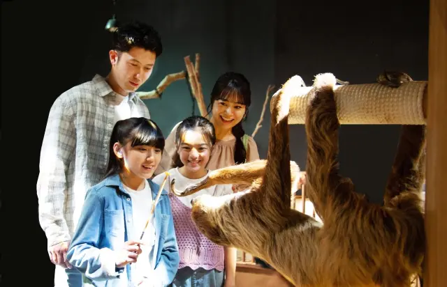 【DMM Kariyushi水族館完整指南】門票交通、必看重點&週邊景點一篇搞定！