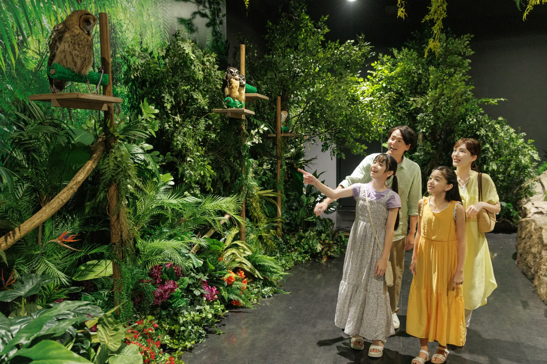 数種のフクロウを間近で観察できる