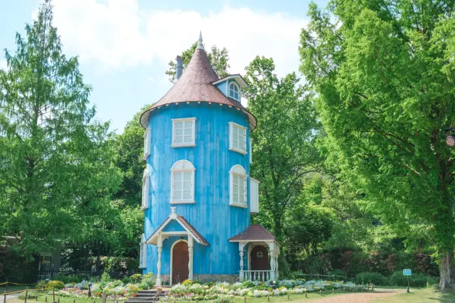 アニメ化されたのは日本がはじめてという繋がりも