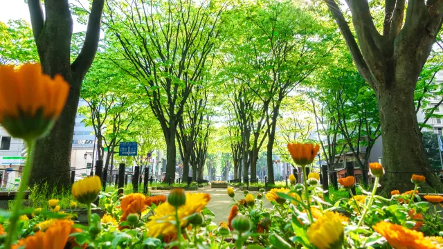 【宮城1泊2日モデルコース】東北を代表する城下町＆温泉＆食を満喫する旅