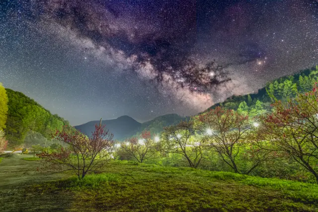 以春季花朵為前景閃耀的銀河