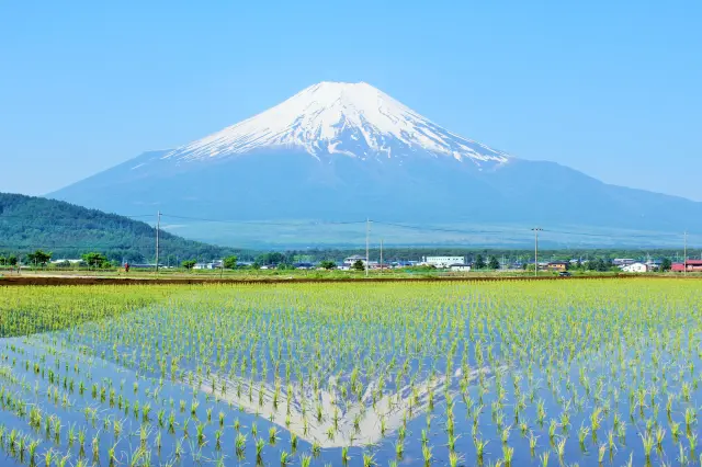 當條件齊備時，即使是稻田的水面也會出現逆富士