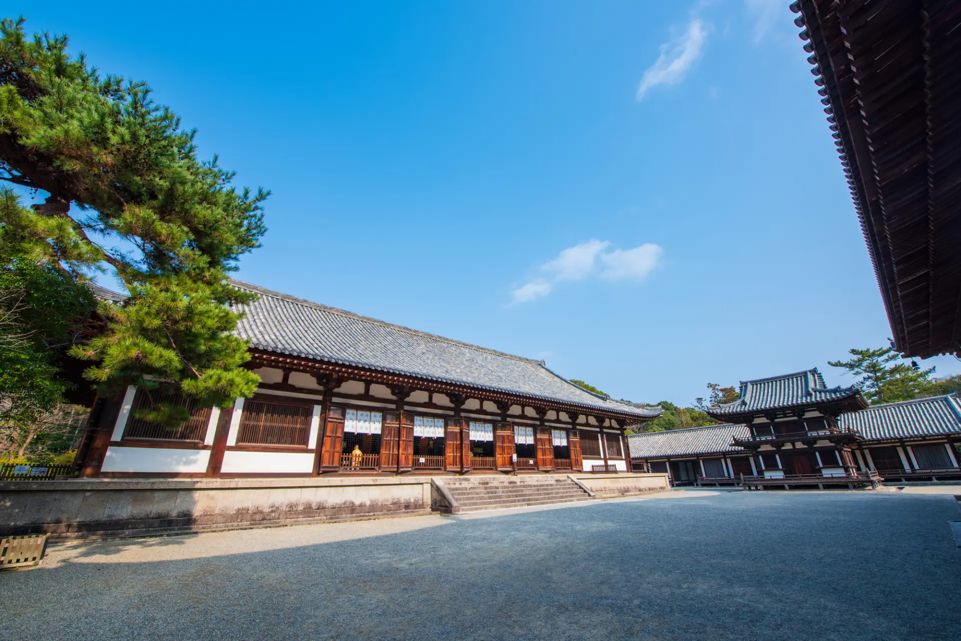 20250623_093244_a716eb58_w1920