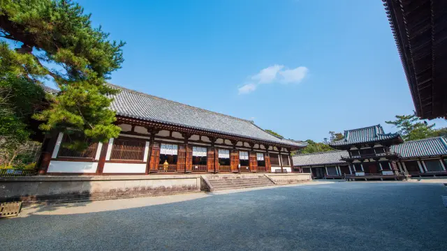 【唐招提寺完整指南】必看重點&周邊景點一篇掌握！