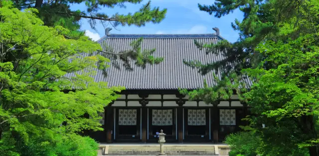 唐招提寺境內散佈著各式各樣的國寶和重要文化財產