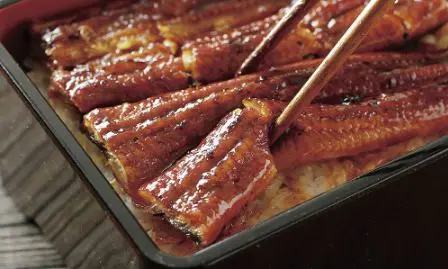 研究を重ねた調理法で、柔らかく食べやすい鰻に