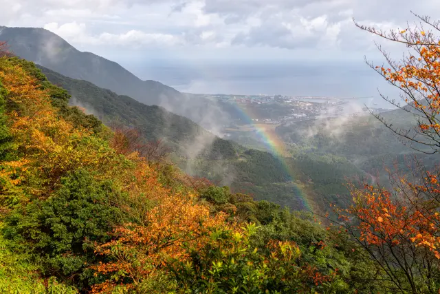 紅葉に染まる屋久島をトレッキングで楽しもう