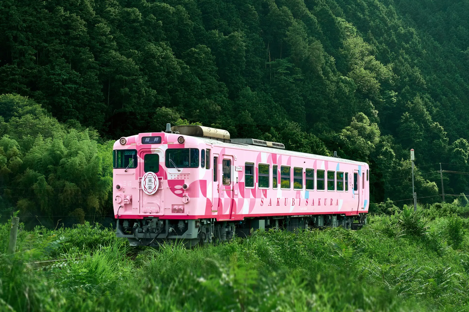 津山への移動は「SAKU美SAKU楽」で