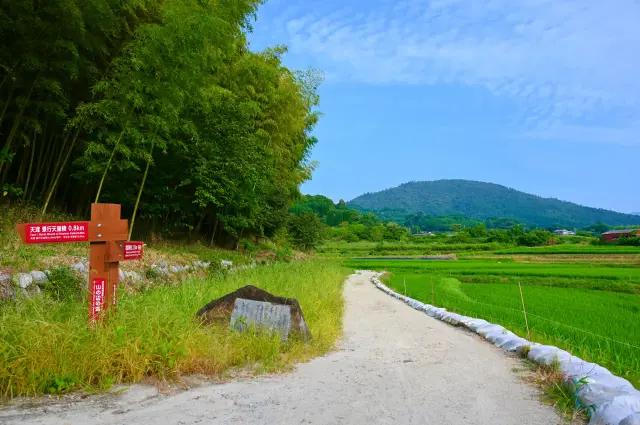 3-Day Journey to Untapped Travel Bliss in Kyoto, Mie, and Nara via Michi-no-Eki