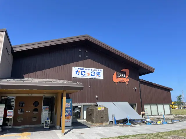 A small aquarium with unique exhibits themed around crabs