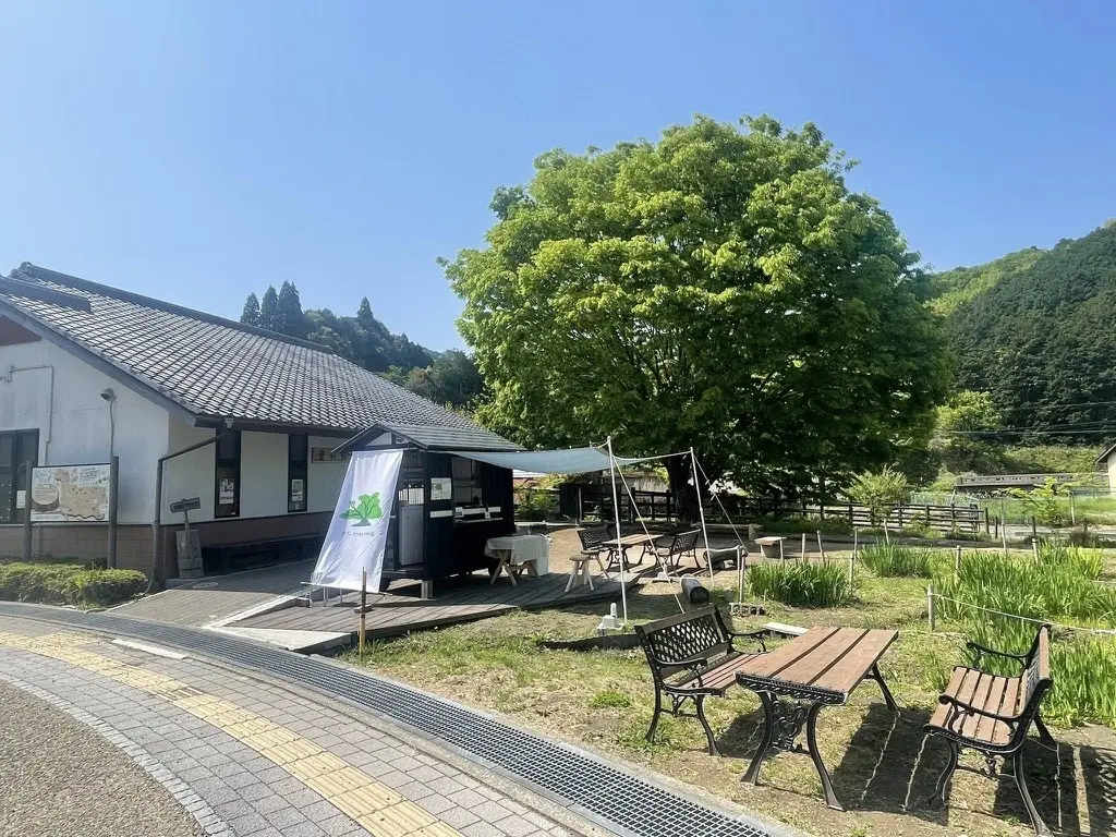 野間の大けやきに関する資料を展示する「けやき資料館」