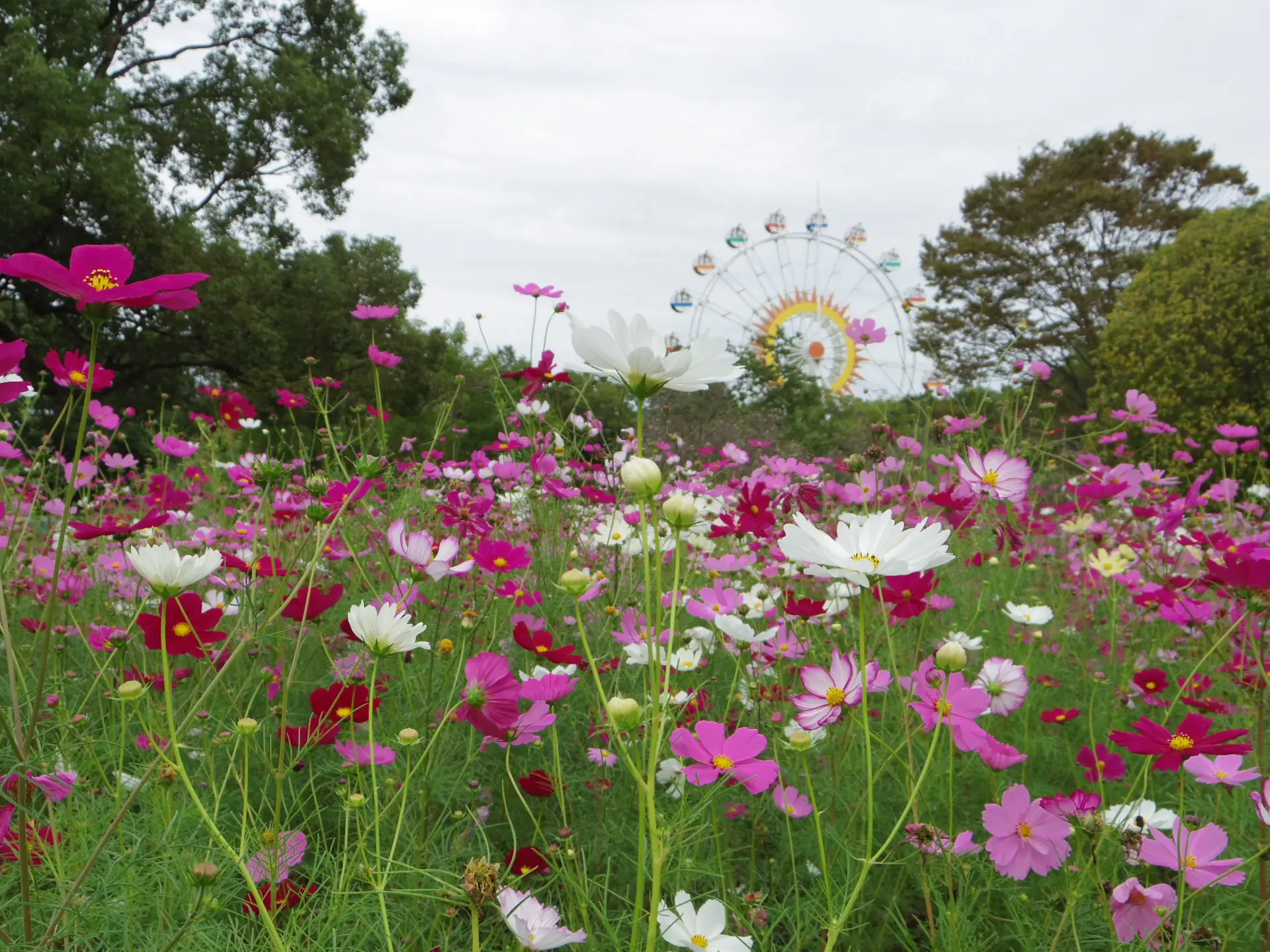 動物ゾーン・植物ゾーン・遊園地ゾーンの3つから成る施設