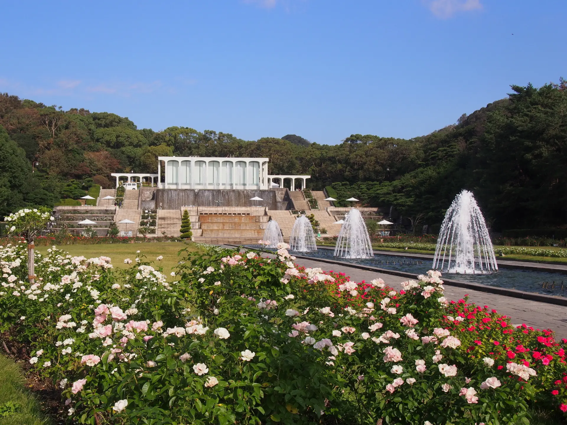 芳醇なバラの香りが漂う園内の様子