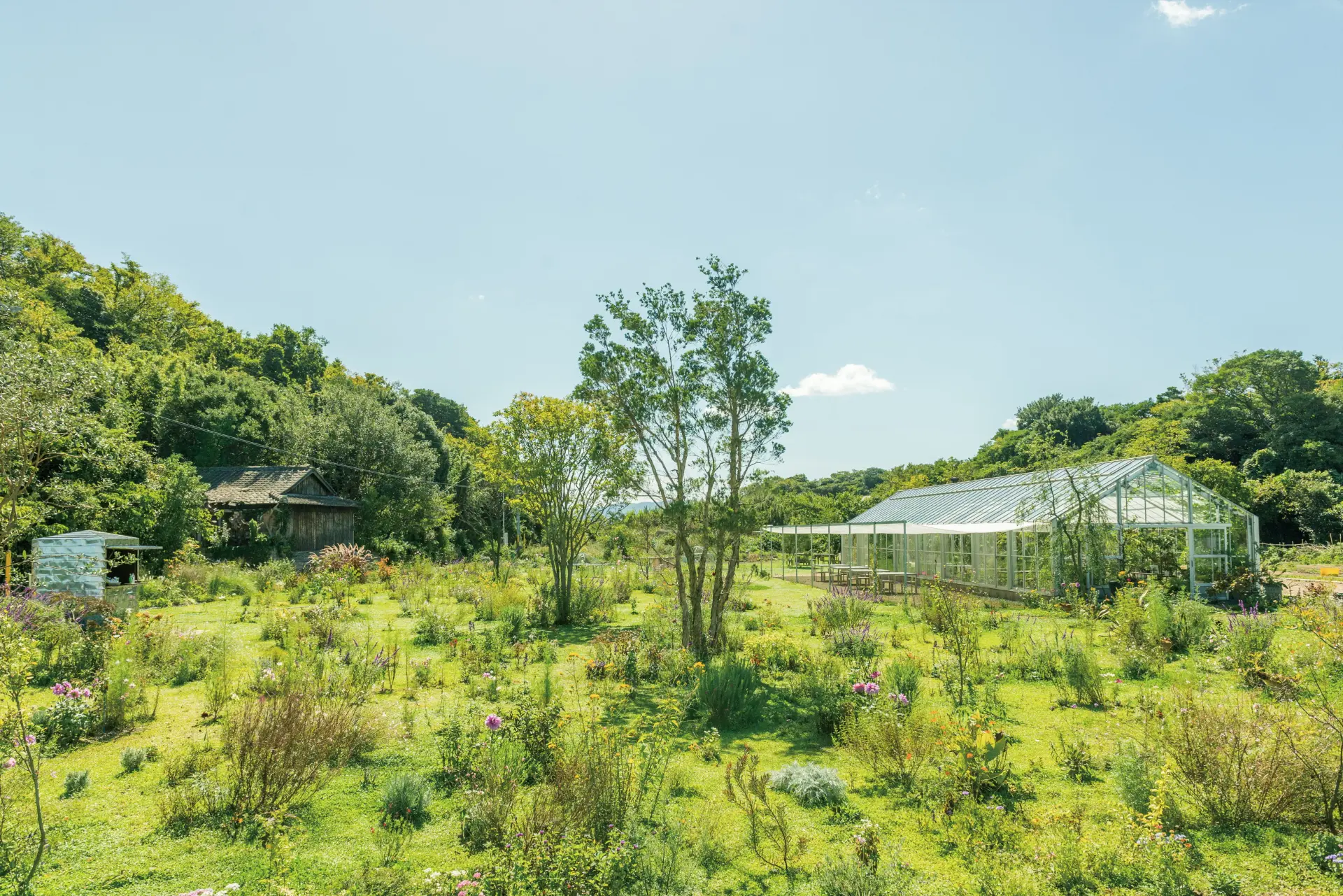 妹島和世「犬島 くらしの植物園」 写真：井上嘉和