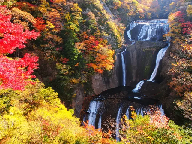 2-Day Autumn Road Trip to Daigo Town, Ibaraki: Fall Colors Galore and True Local Delights!