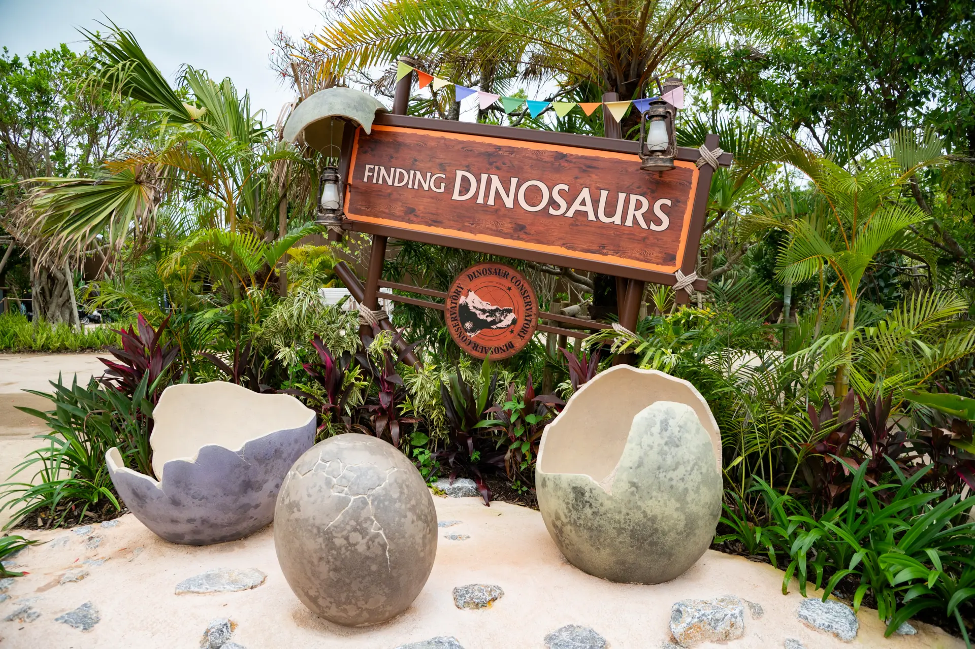 FINDING DINOSAURSの入口