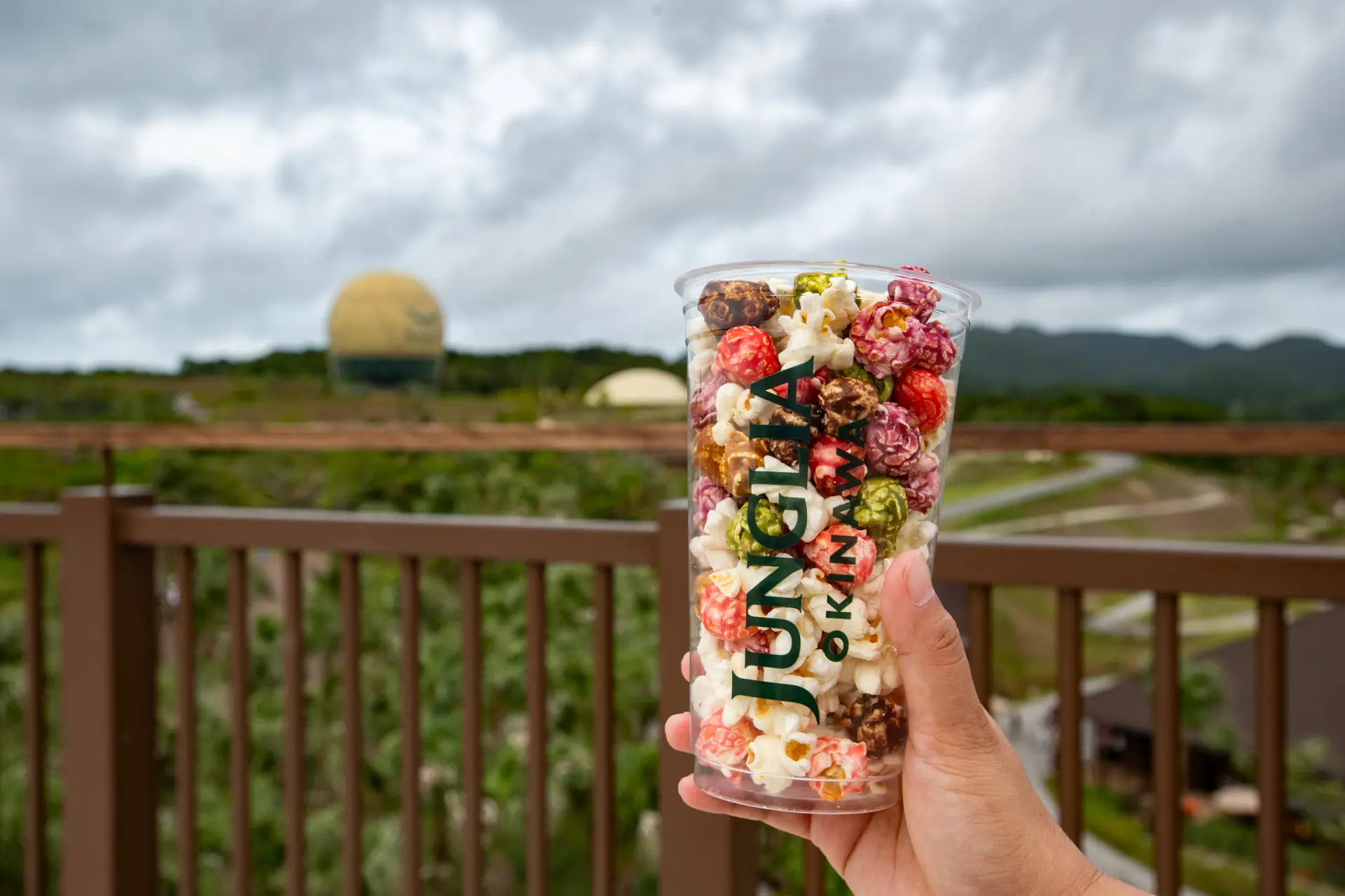 バリエーション豊かな味と食感を楽しめるJUNGLIA ポップコーン