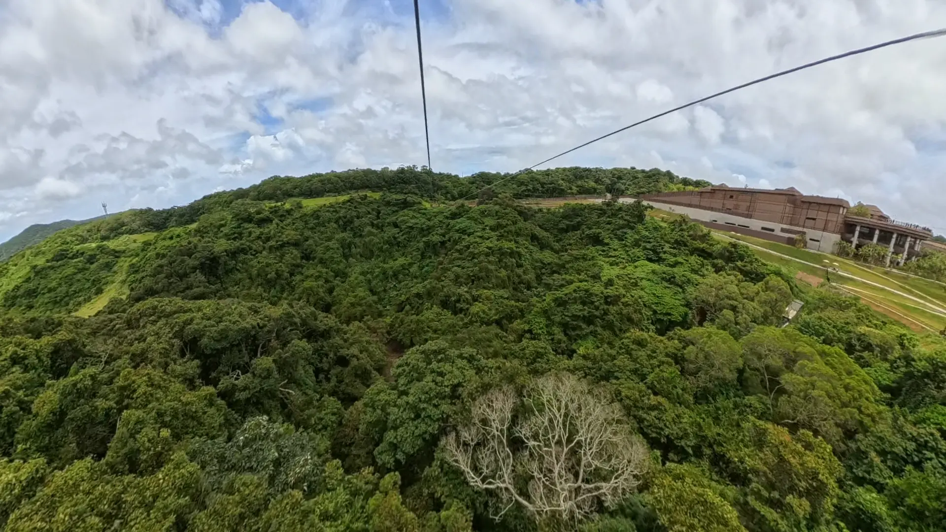 目の前に広がるやんばるの絶景
