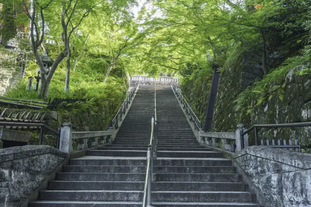 在京都不少神社和寺廟境內都有長長的階梯